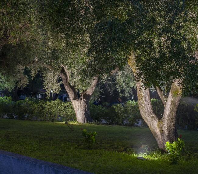 DSC_6423-illuminato-per-sitoweb