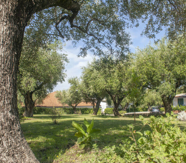 EQ16.8DSC_5438-copia-esterni-pubblica