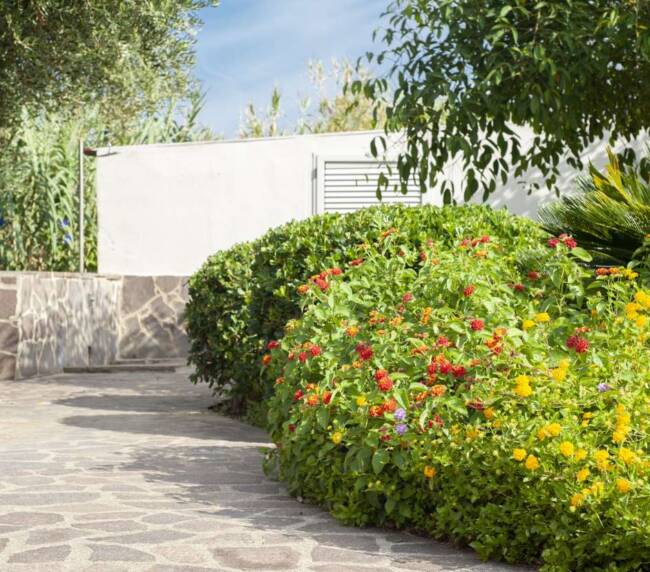 gallery-palinuro_ (1)