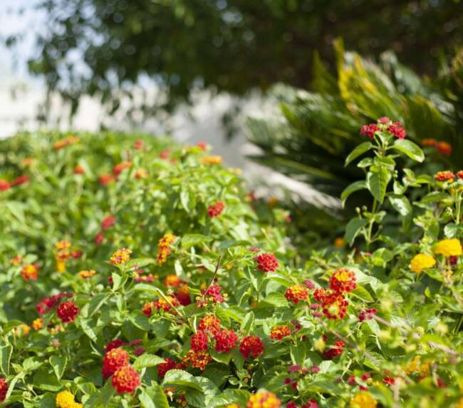 gallery-palinuro_ (2)