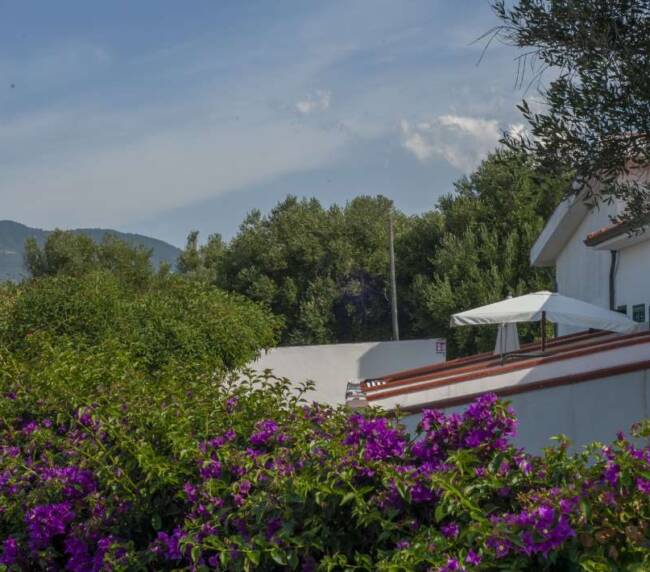 gallery-palinuro_ (3)